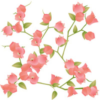 200x200 Seamless Bougainvillea Background Stock Vector