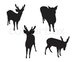 320x267 Deer Hunt Symbol Stock Vector Colourbox