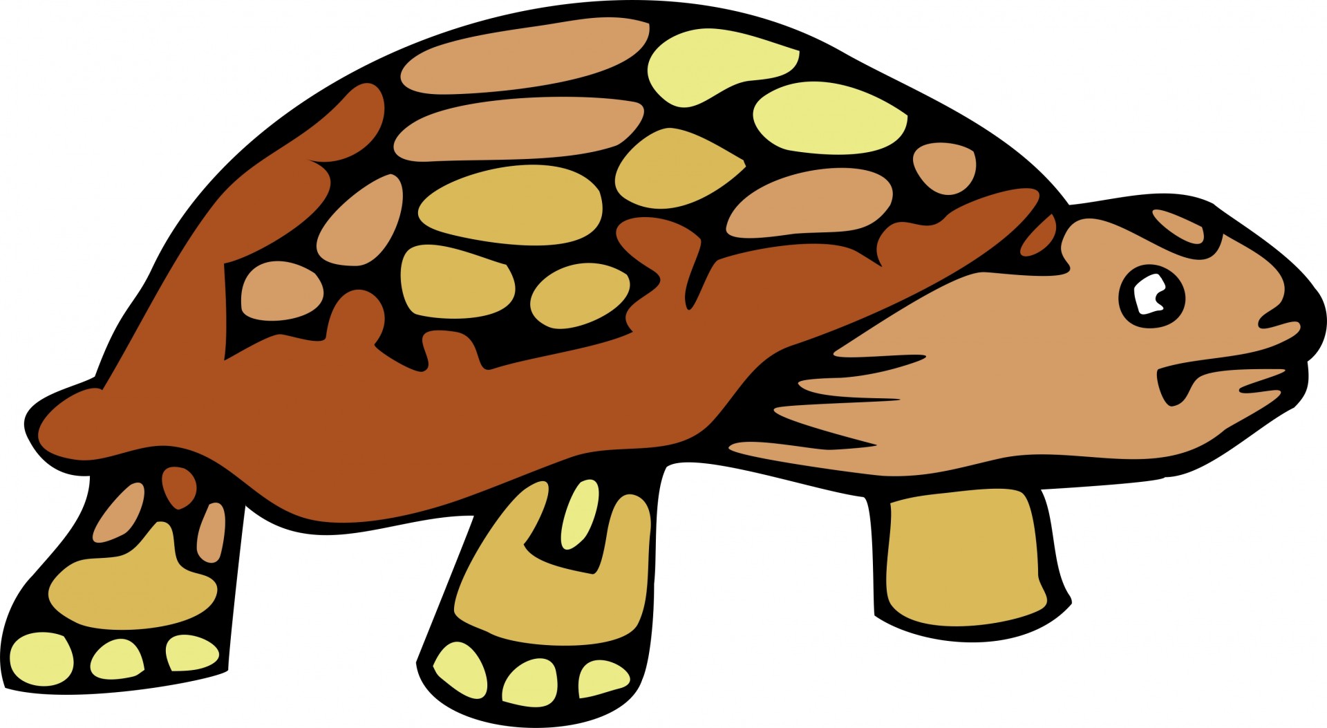 1920x1053 Turtle Clipart Desert