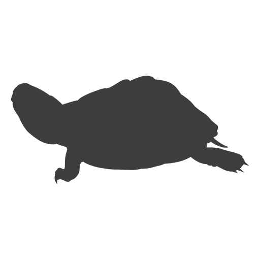 512x512 Turtle Sunbathing Silhouette
