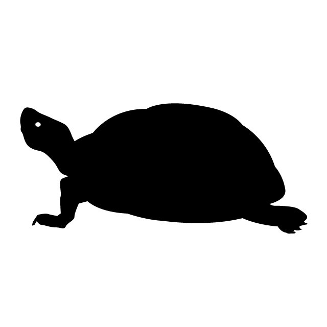 Box Turtle Silhouette at GetDrawings | Free download