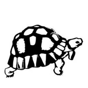 300x300 Clipart Picture Of A Walking Turtle