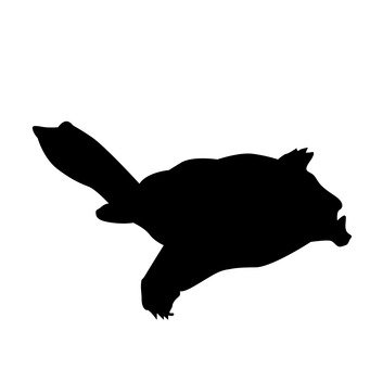 341x340 Free Silhouette Vector Turtle, An Illustration