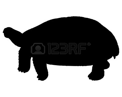 400x320 Land Turtle Silhouette Images Free Download