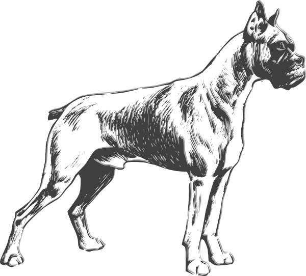 600x542 Dog Clip Art
