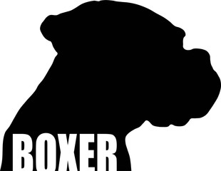 310x240 Search Photos Deutscher Boxer