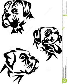236x290 557788391 Boxer Stylized Dog Black White Illustration Head