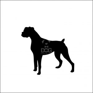 300x300 Boxer Archives