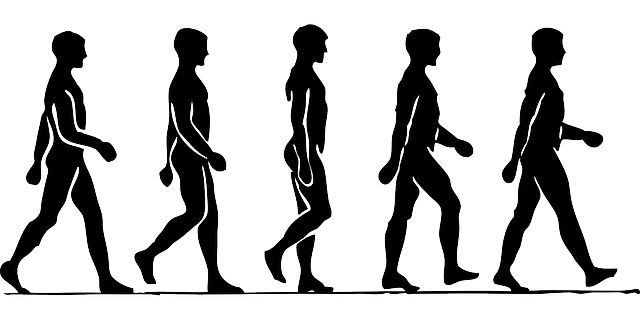 640x320 Free Pictures Animations