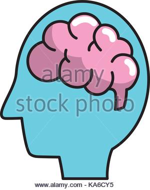 300x380 Silhouette Side Head With Brain Vector Illustration Stock Vector