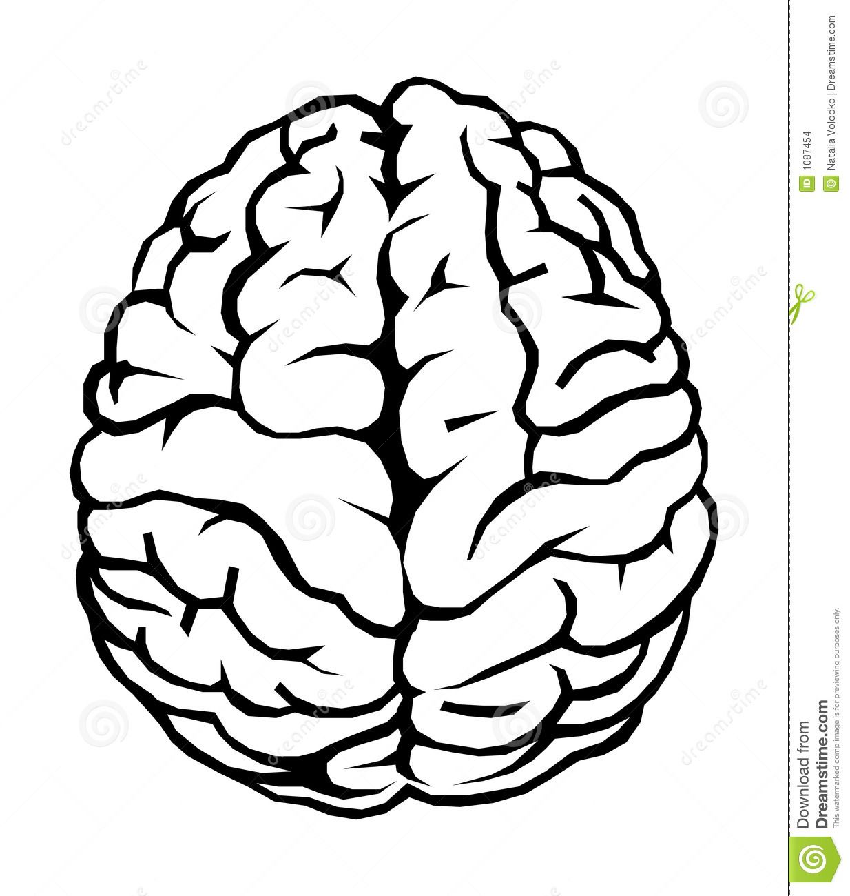 1234x1300 Resultado De Imagen De Cerebro Humano Vector Png Ttttttt