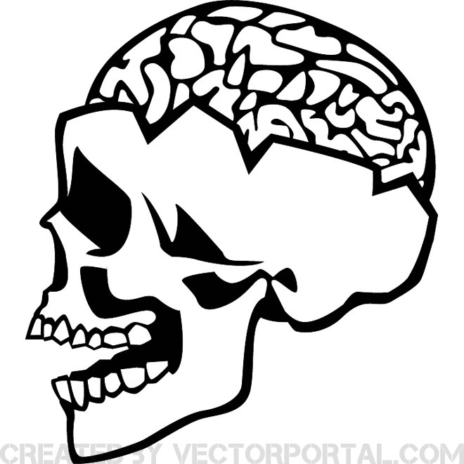 660x660 Skull And Brain Vector
