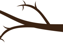 210x150 Clip Art Tree Branch Clip Art