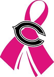 212x300 Chicago Bears Breast Cancer Awareness Pink Ribbon 10 Vinyl Decal