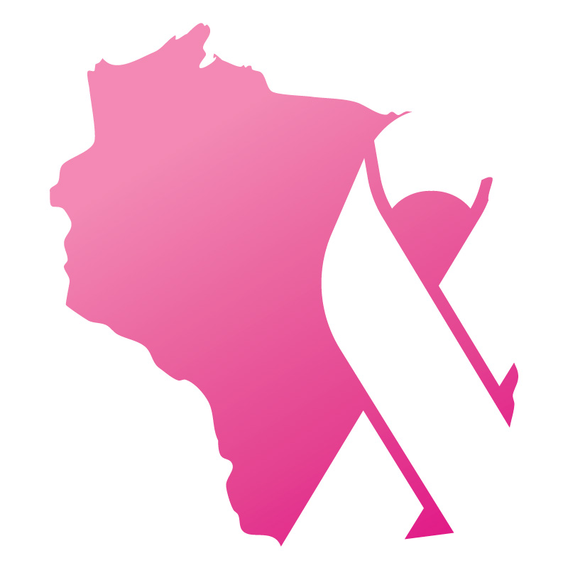 800x800 Wi Breast Density Initiative Andrea Fogle