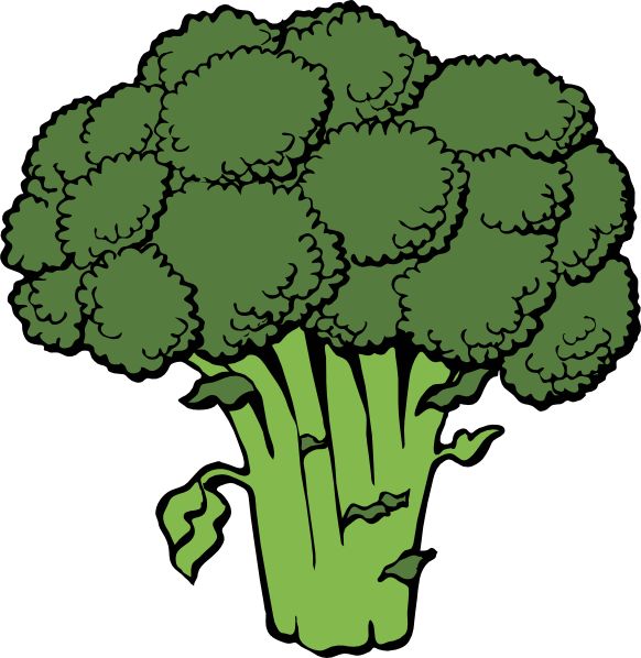 Broccoli Silhouette