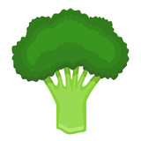 160x160 Broccoli Silhouette On Bright Background. Stock Image And Royalty