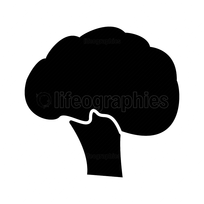 710x710 Stock Images