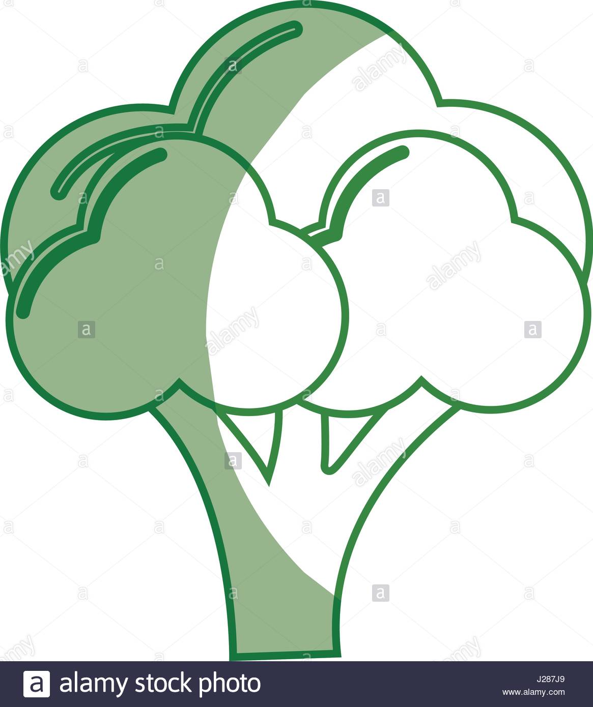 1165x1390 Silhouette Broccoli Organic Healthy Vegetable Stock Vector Art