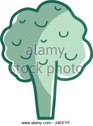 300x406 Silhouette Vegetable Broccoli Icon Stock Vector Art Amp Illustration