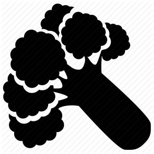 512x512 Broccoli, Vegetables Icon Icon Search Engine