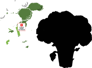 300x222 Broccoli 1 Color Clip Art