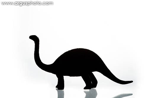 500x332 Imagemore Argusphoto Image Imo 9v00066028