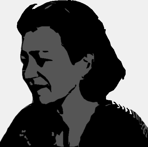 483x480 5 Brooklynites' Favorite Places Bikabout