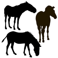 240x240 Search Photos Side View