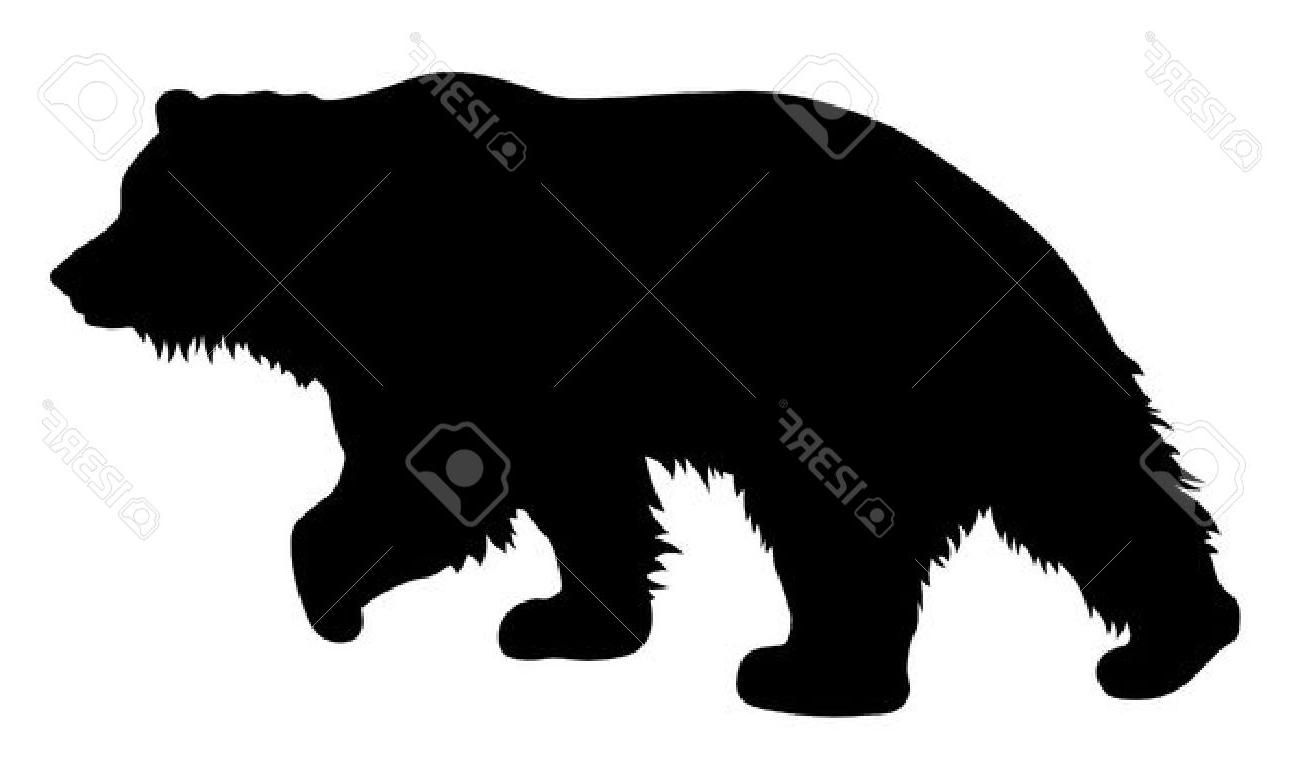1300x757 Top 10 Vector Illustration Of Brown Bear Silhouette Stock Grizzly
