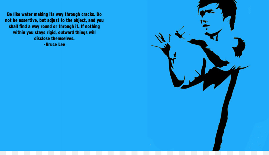 900x520 Silhouette Desktop Wallpaper Jeet Kune Do