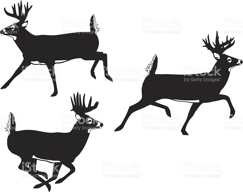 1024x811 Image Result For Running Buck Deer Silhouette Deer