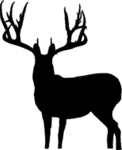 500x614 Big Buck! Deer Decal Deer Sticker Deer Hunting Waterfowl Decal
