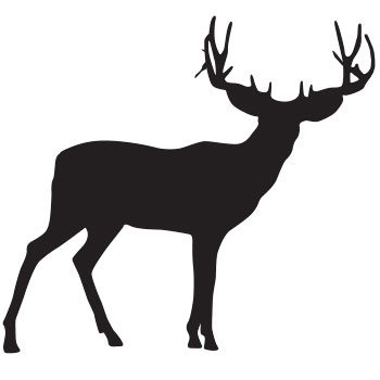 350x350 Buck Clipart Mule Deer