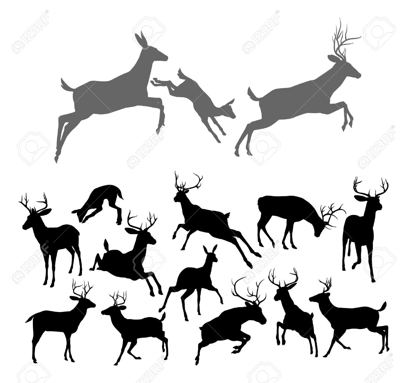 1300x1222 Buck Clipart Stag And Doe