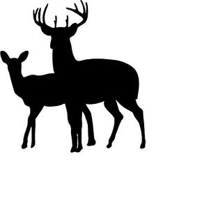300x284 Deer Buck Doe Deer Family Hunting Wall Decal Home Decor Lrge 20 X