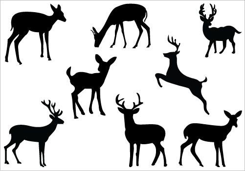 501x351 Deer Clip Art Embroidery Clip Art, Art Clipart