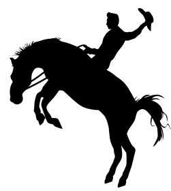 251x280 Buy This 12x24 Dutchbarn From Our Inventory For Quick Delivery