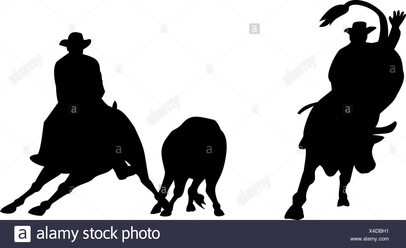 1300x796 Bull Bull Riding Black And White Stock Photos Amp Images
