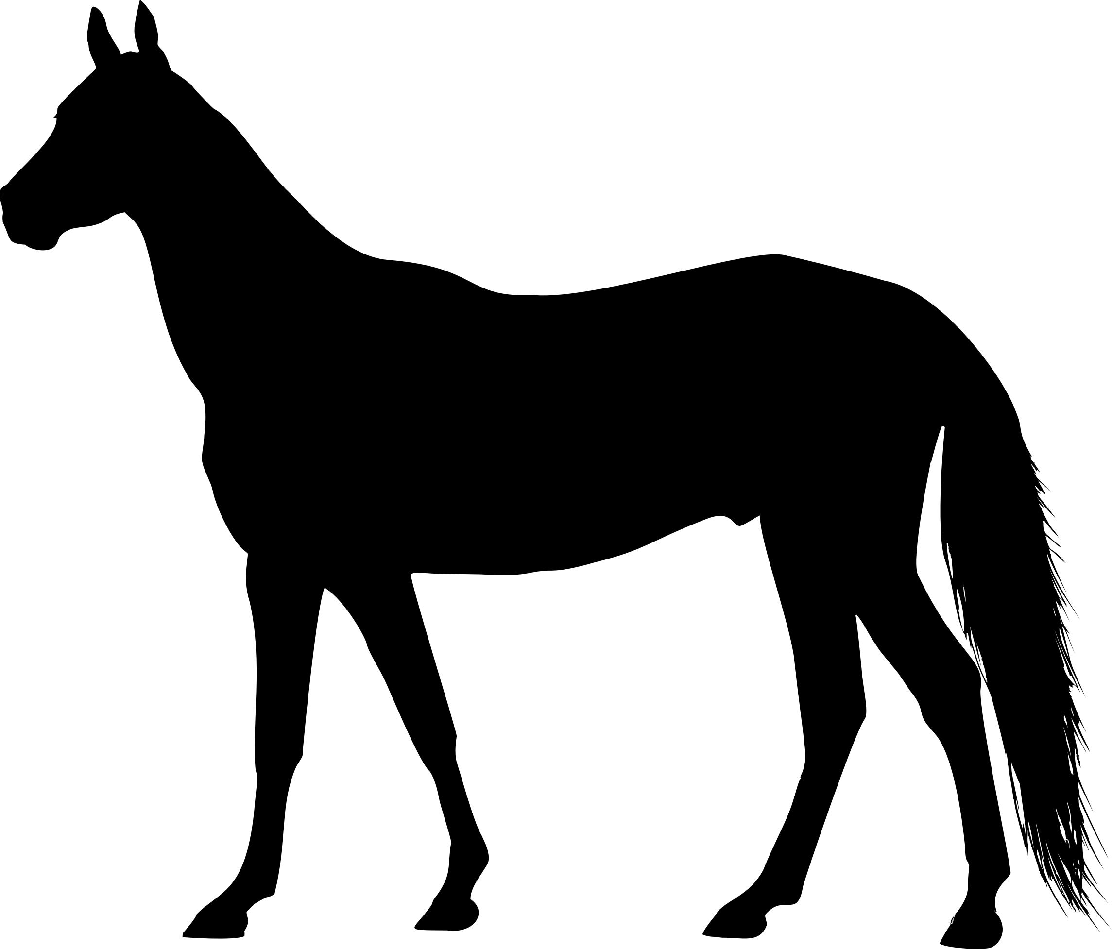 2289x1954 Free Horse Icons Png, Horse Images