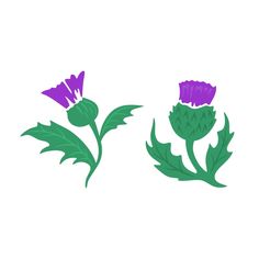 236x236 Thistle Silhouette By Sue Small