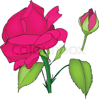 320x319 Black Calligraphy Rose Silhouette Stock Vector Colourbox