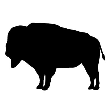 380x380 Buffalo Cliparts