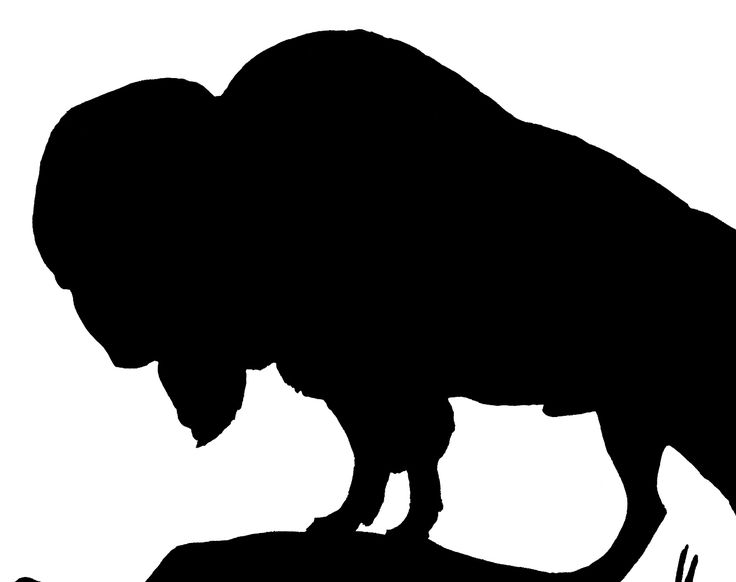 736x582 47 Best Buffalo Silhouette Images On Metal Wall Art