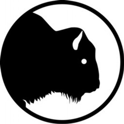 400x400 Buffalo 8 (@buffalo8pro) Twitter