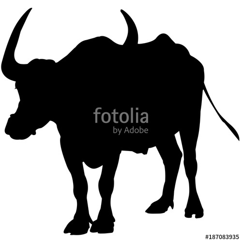500x500 Water Buffalo Silhouette Vector Graphics Stock Image And Royalty