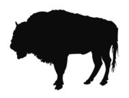 189x143 Buffalo Silhouette Premium Clipart