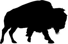 231x151 Buffalo Silhouette Group