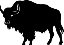 210x149 Cape Buffalo Africa Safari Sticker