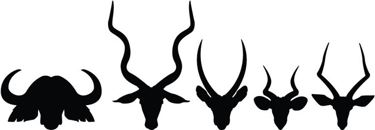 736x256 African Buffalo Clipart